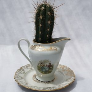CACTUS-FAIENCE