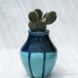 CACTUS-VASE-BLEU