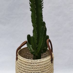EUPHORBE-PANIER