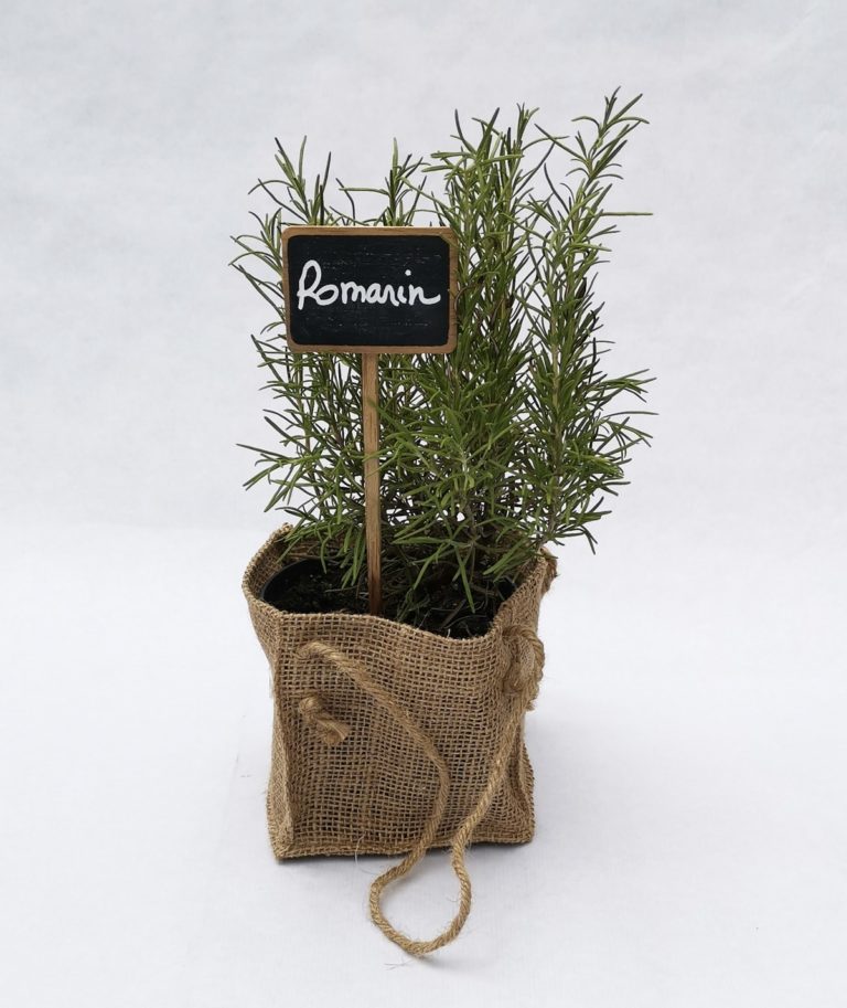 PIED-DE-ROMARIN-SAC-DE-JUTE
