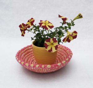 SURFINIA-PLATEAU-MAROCAIN-ROSE
