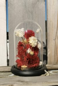 fleurs séchées sous cloche