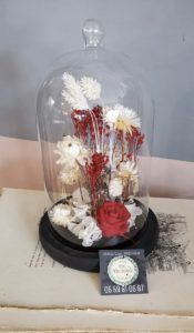 fleurs séchées sous cloche