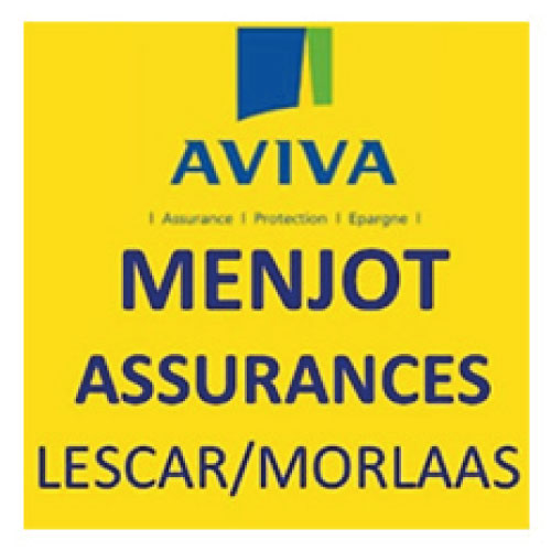 Logo Aviva