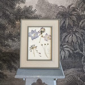Cadre herbier