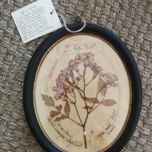 Herbier vintage de forme ovale